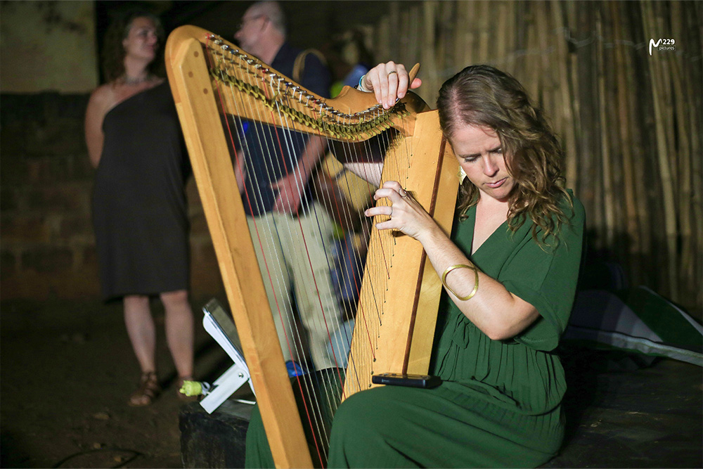 Concerts & spectacles